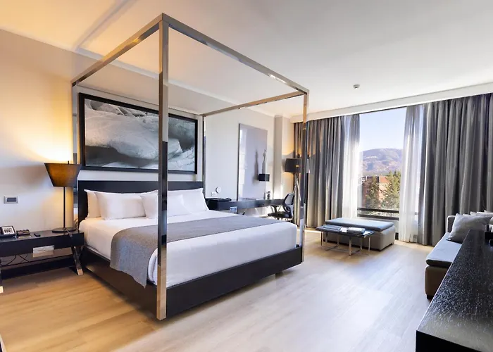 Wyndham Santiago Pettra